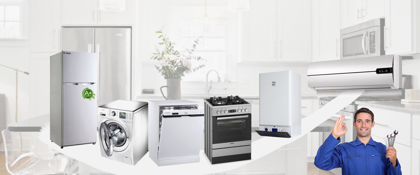 Bayraklı Gaggenau Servisi